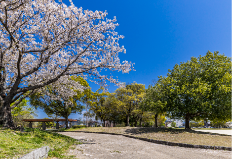 出川南公園
