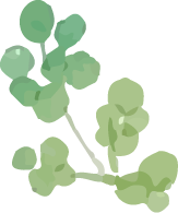 葉イラスト