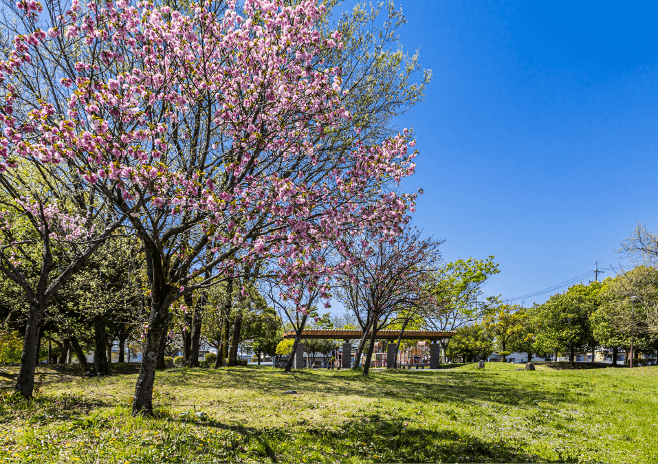 出川南公園