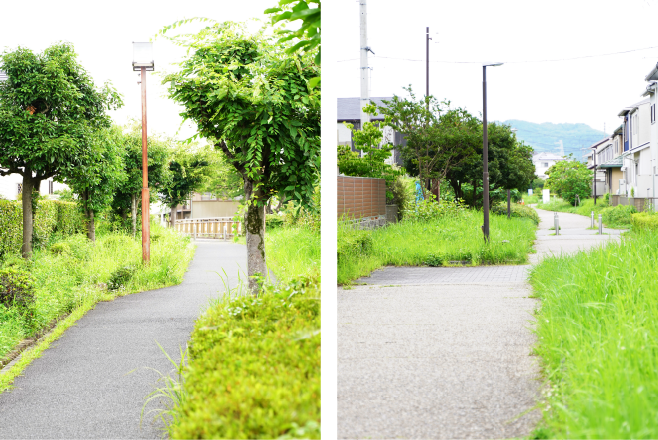 遊歩道