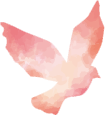 蝶イラスト