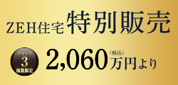 特別限定販売