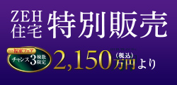特別限定販売