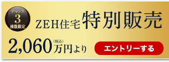 特別限定販売
