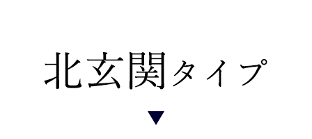 南玄関タイプ