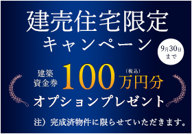 100万円オプションプレゼント