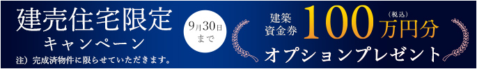 100万円オプションプレゼント