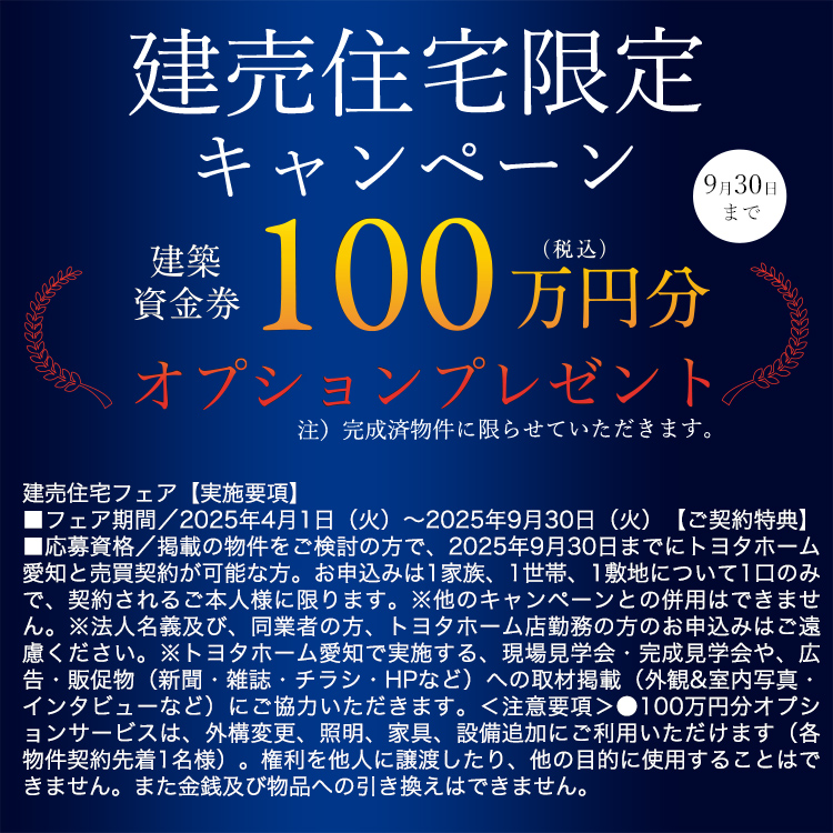 100万円オプションプレゼント