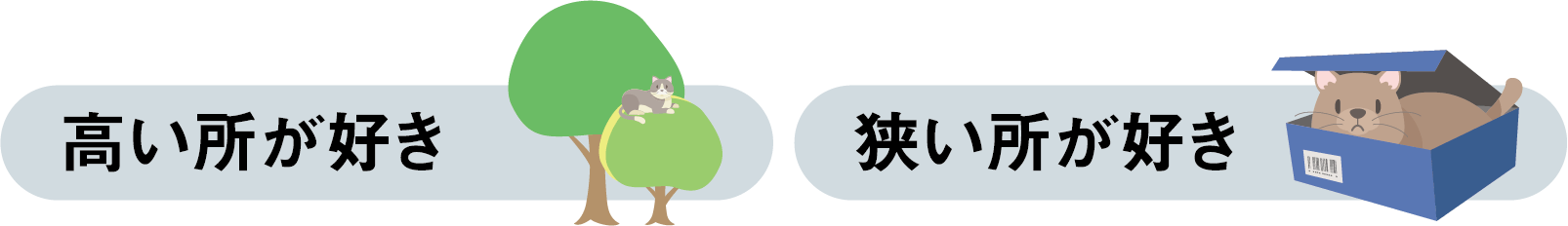高い所が好き・狭いところが好き
