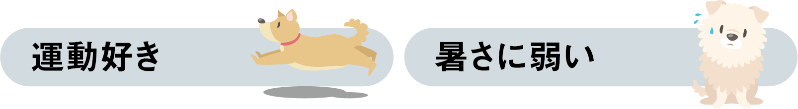 運動好き・暑さに弱い