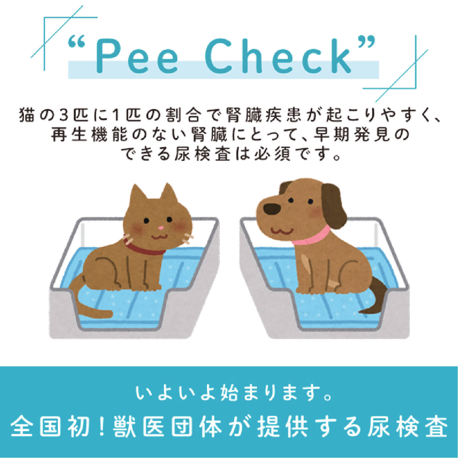 Pee Check