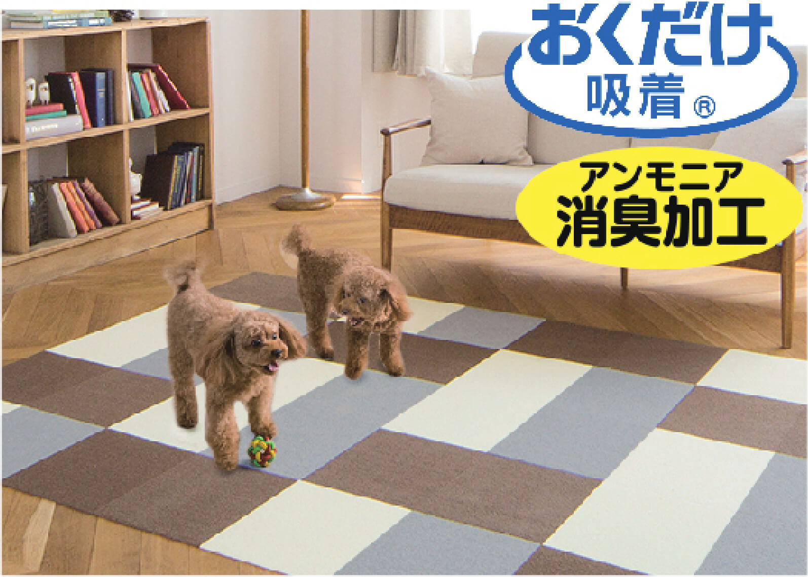 置くだけ吸着・アンモニア消臭加工