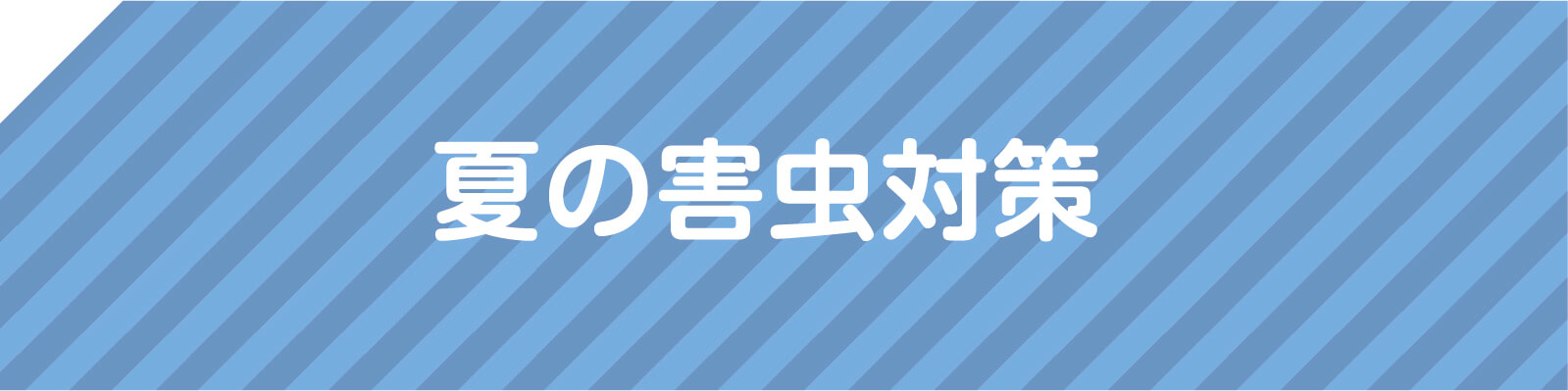 今回は、夏の悩み「害虫」の解決方法を紹介します。