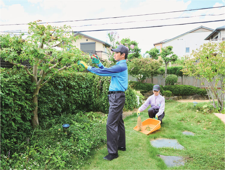 庭木のお手入れ