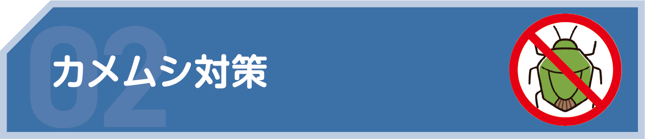 カメムシ対策